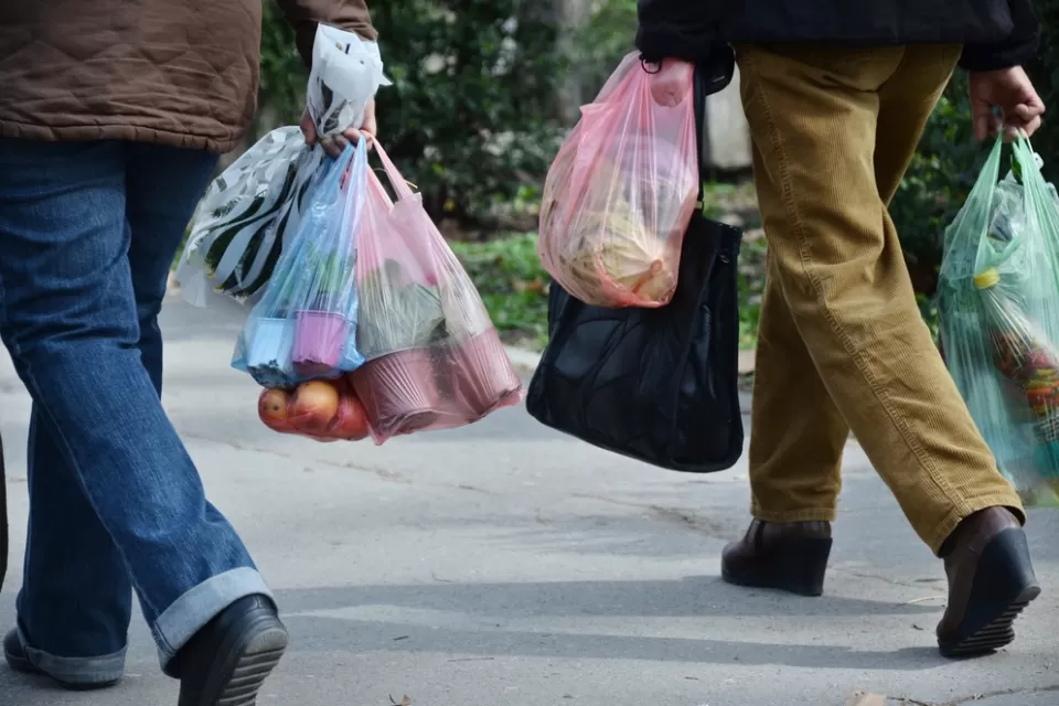 Two people carry groceries in plastic grocery bags.